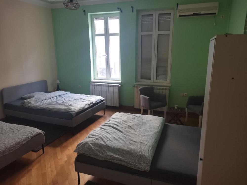 베오그라드 Cozy Palace 호스텔 외부 사진
