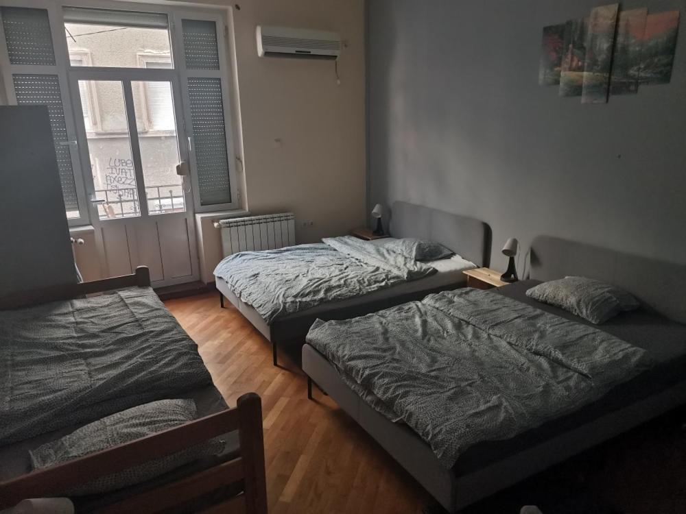 베오그라드 Cozy Palace 호스텔 외부 사진