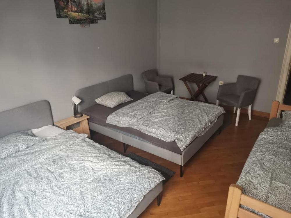 베오그라드 Cozy Palace 호스텔 외부 사진